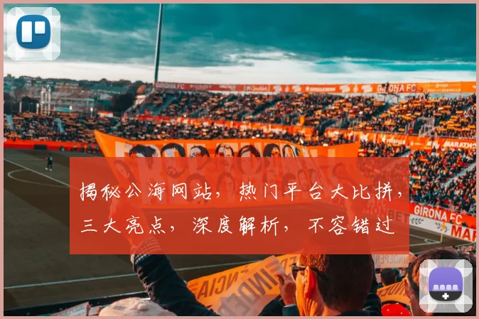揭秘公海网站，热门平台大比拼，三大亮点，深度解析，不容错过